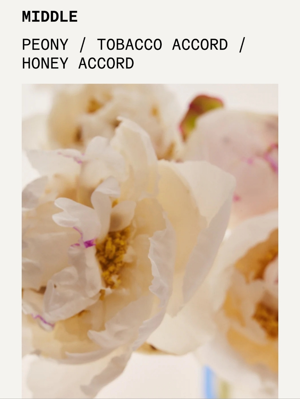 NOYZ "Be Her" Perfume Ella Langley Purse Vials (LIMITED DROP sold out in 59 sec) - Picture 5 of 7
